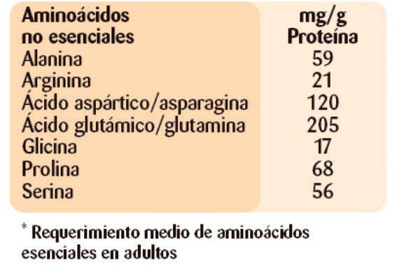 aminoacidos no esenciales prote hidro png